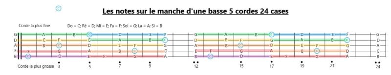 Manche Basse Notes Transposition