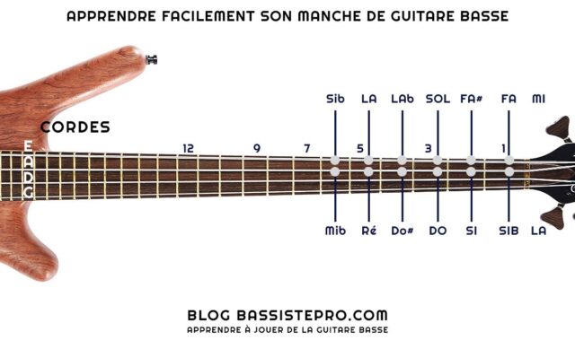 Apprendre-facilement-son-manche-de-guitare-basse-1