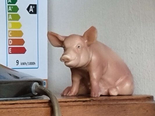 eeb2b224-61c8-421f-916b-1125fb60ead2