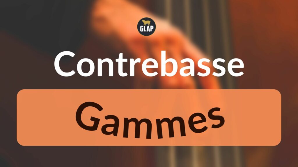 contrebasse-gammes