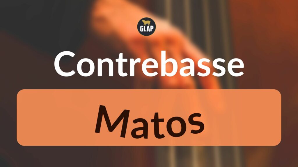 contrebasse-matos