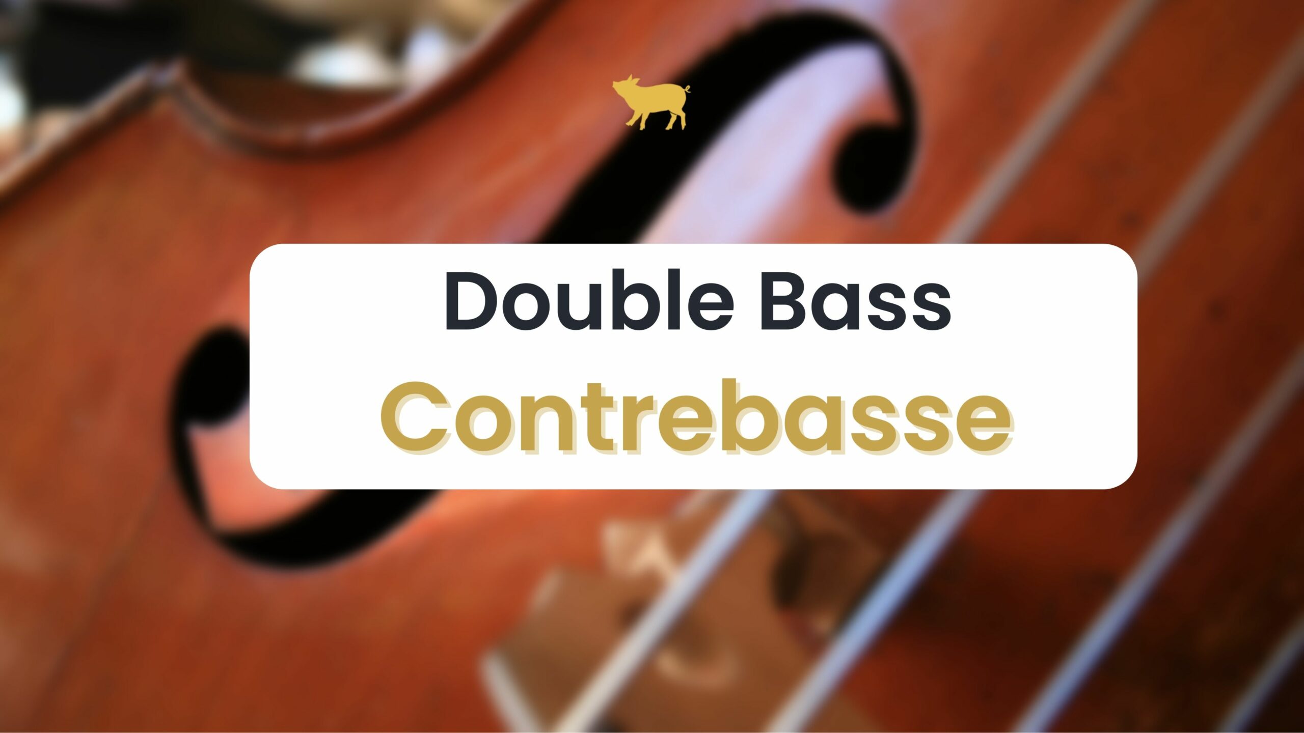 GLAP® Double Bass (Contrebasse)