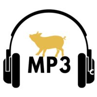 bassistepro-glap-mp3